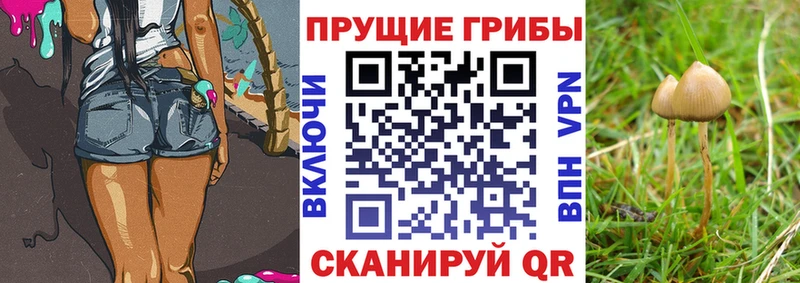 Псилоцибиновые грибы Magic Shrooms  Лакинск 